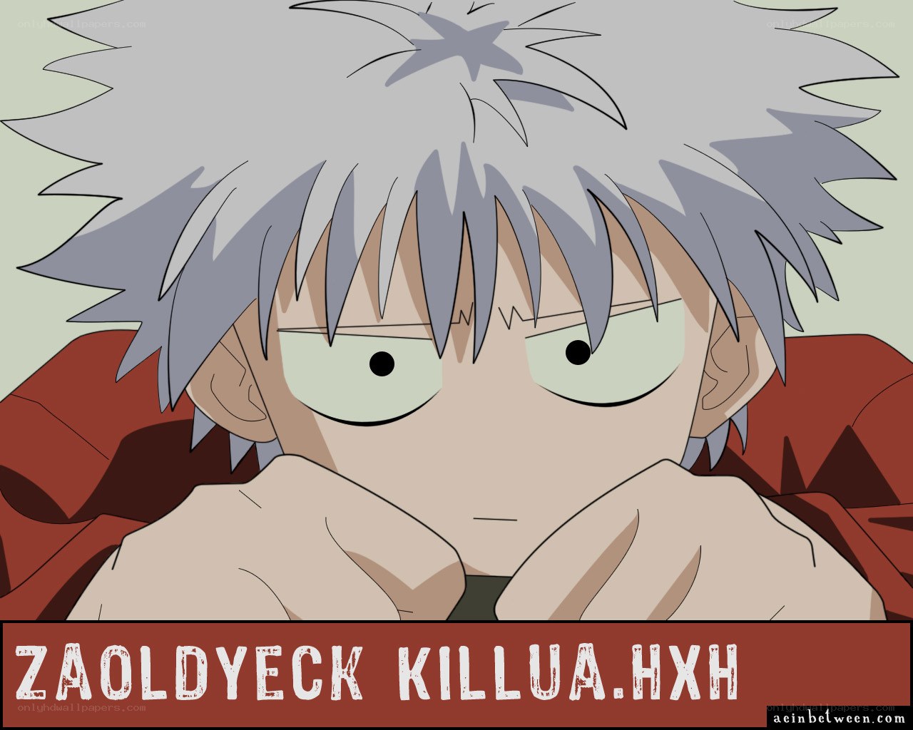 Killua Zoldyck from Hunter x Hunter