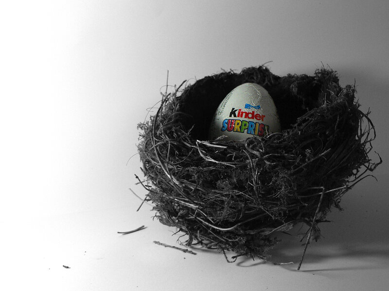 Kinder Surprise in a bird's nest