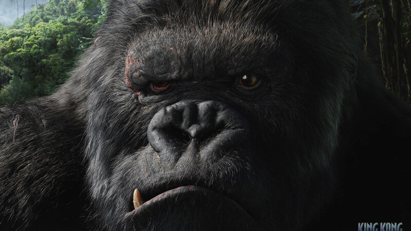 King Kong close-up portrait