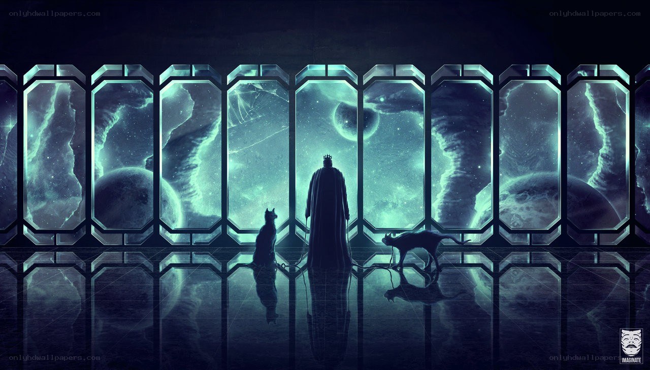 king with cats in space
