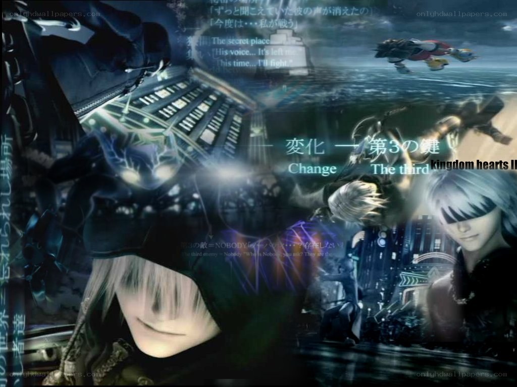 Kingdom Hearts II character collage