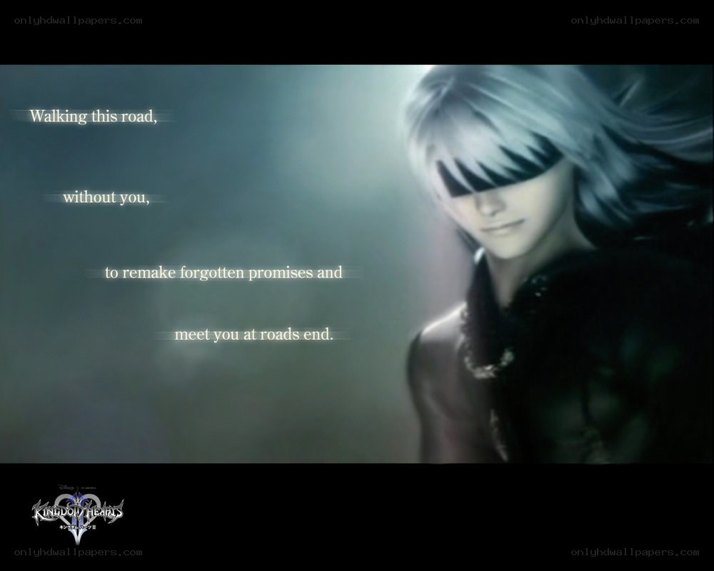 Kingdom Hearts II character scene