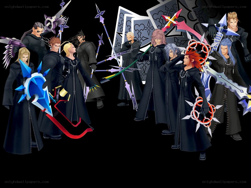 Kingdom Hearts Organization XIII
