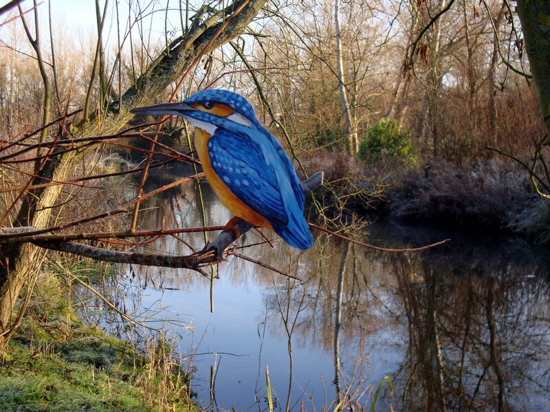 Kingfisher Bird on Branch — Blue, Serene, Autumn