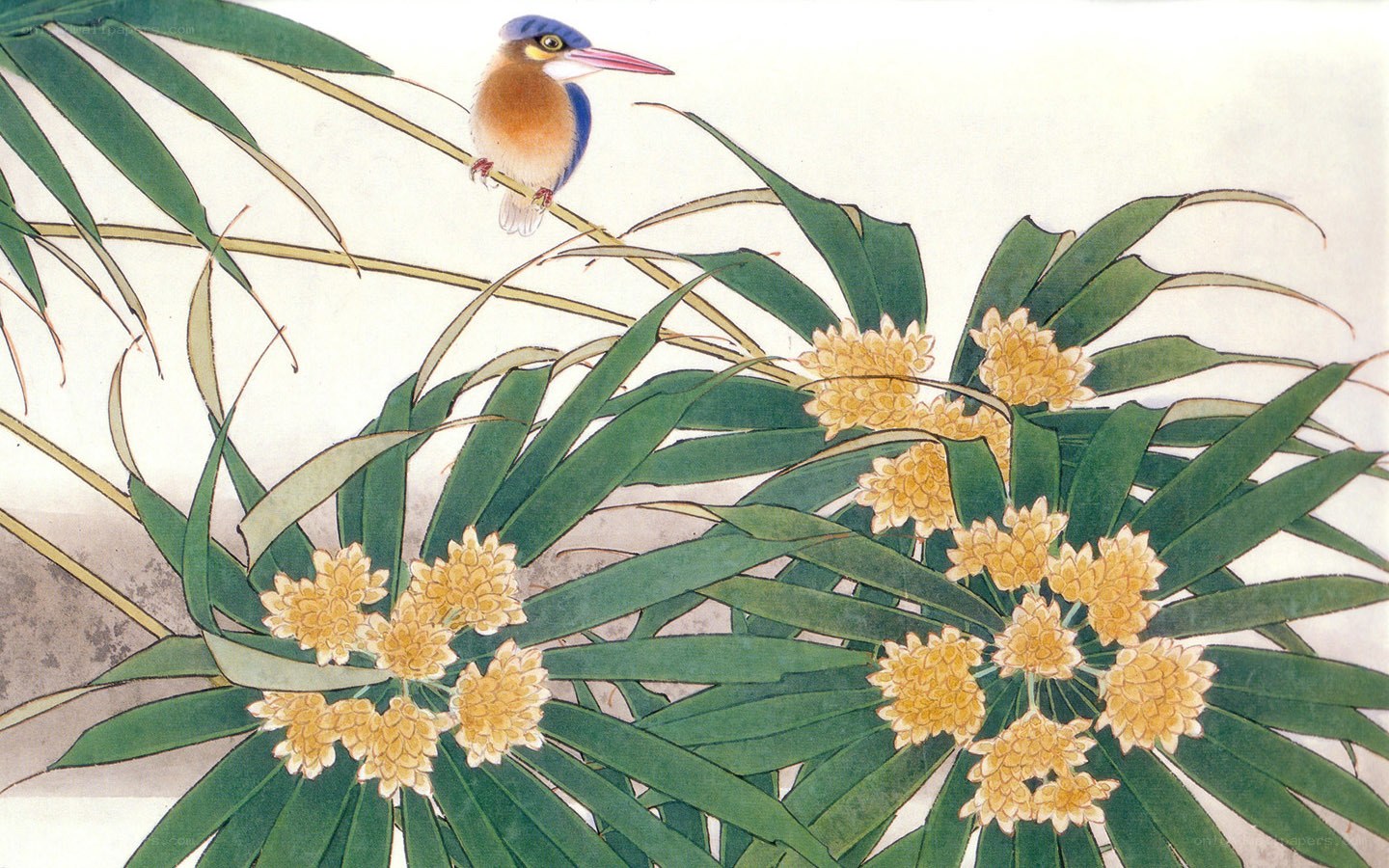 Kingfisher on a branch