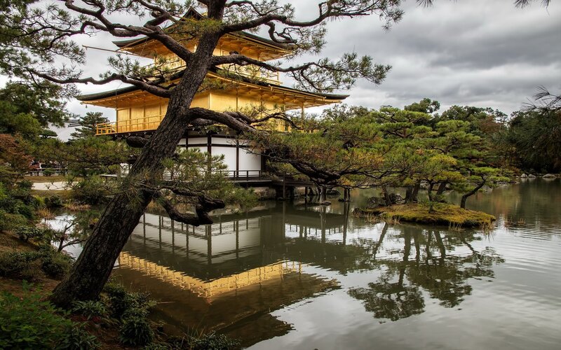 Kinkaku-ji Temple — Gold, Serene