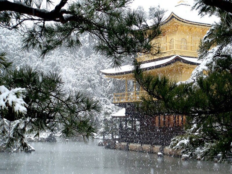 Kinkaku-ji Temple in Snow — Gold
