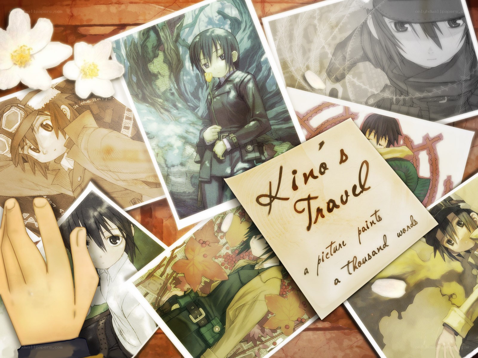 Kino's Travel collection