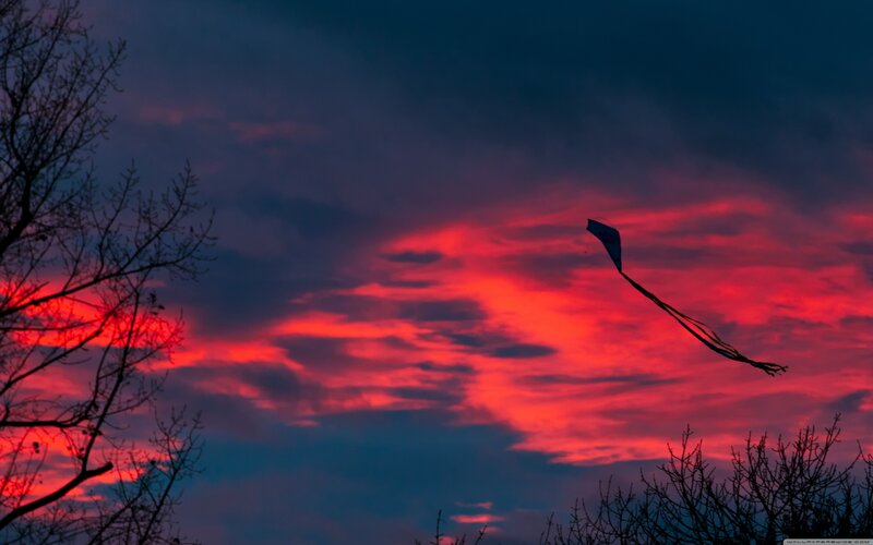 Kite Flying at Dusk