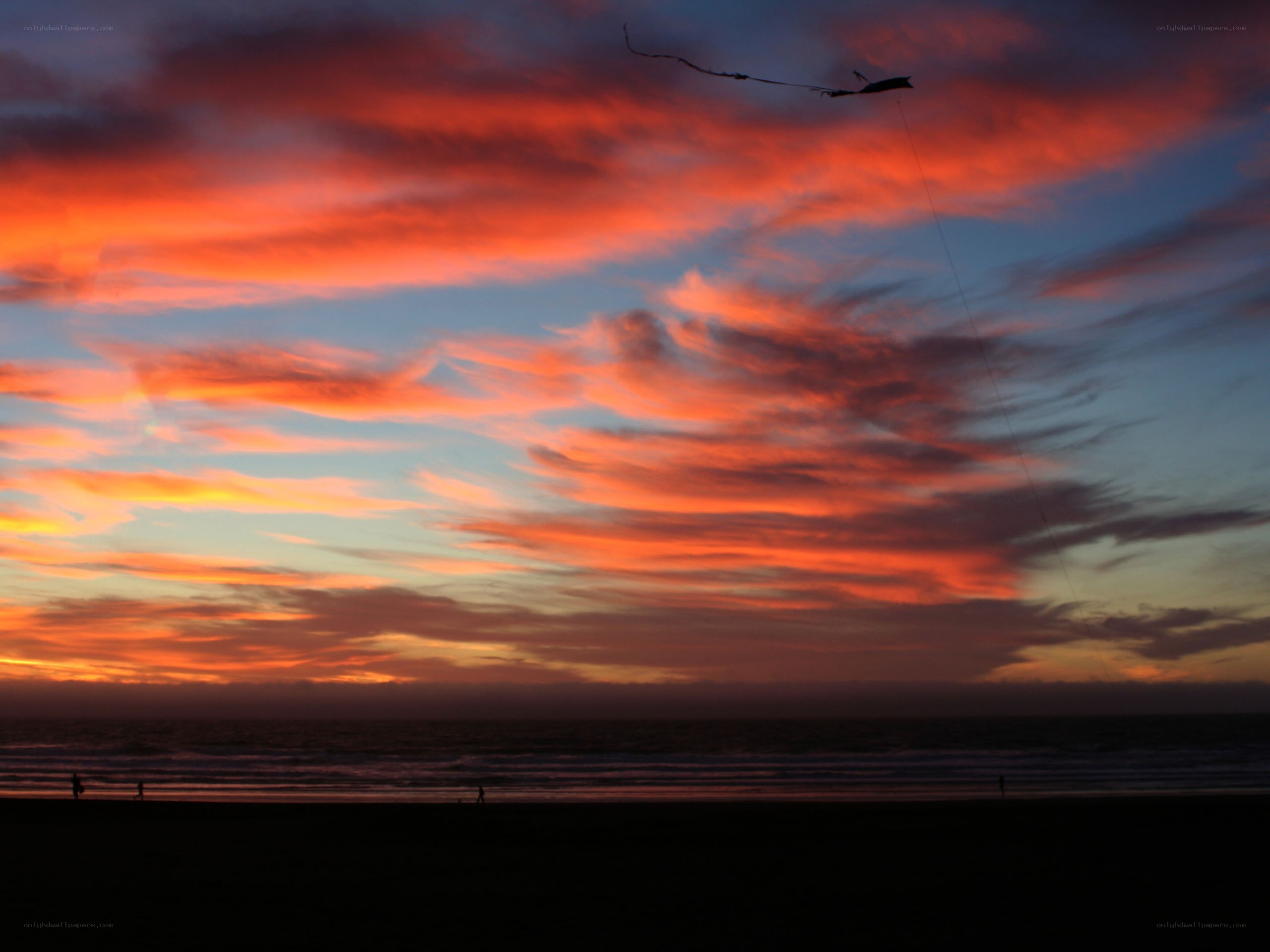 Kite flying at sunset on the beach