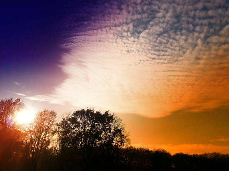Kite Flying at Sunset