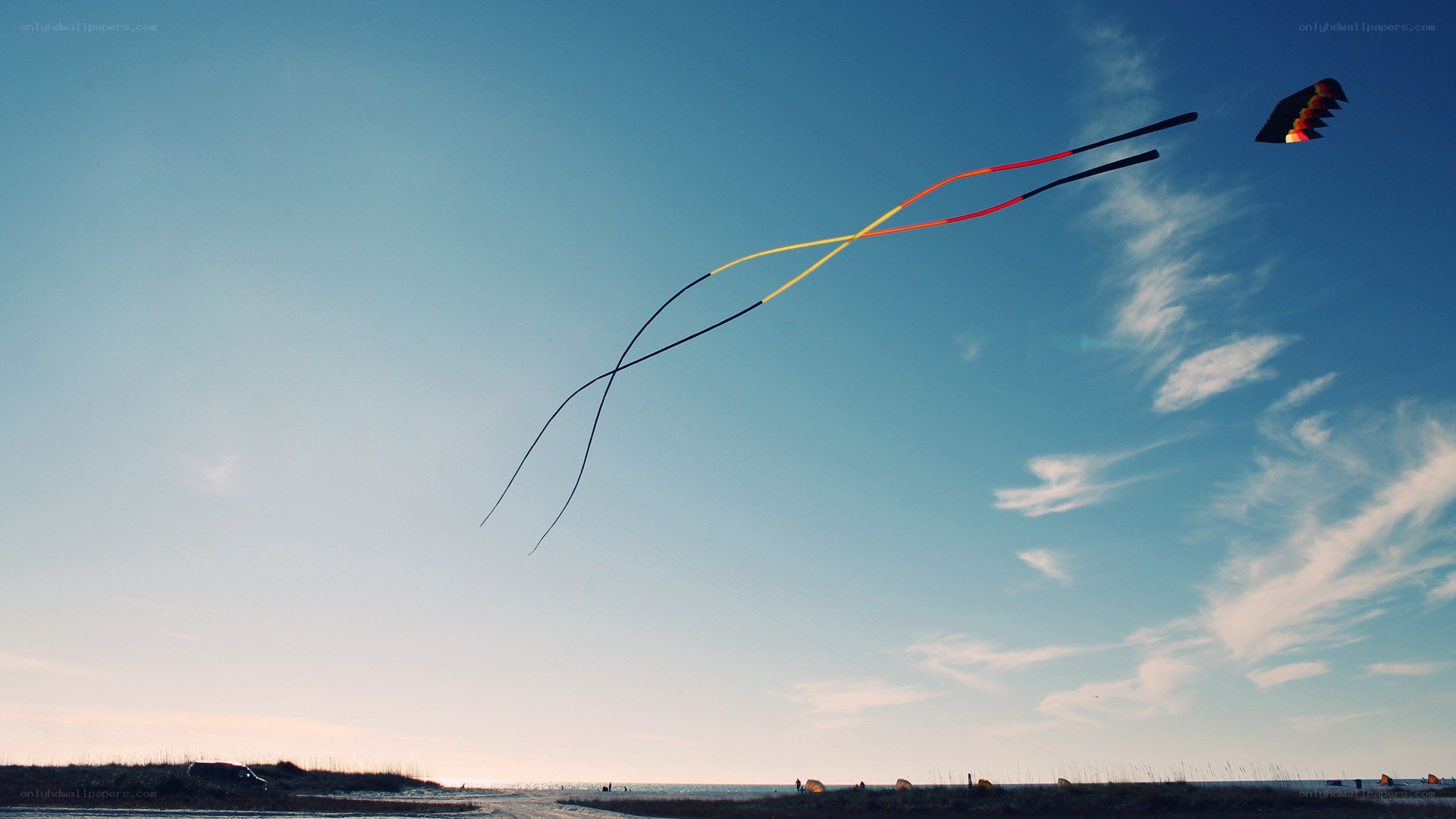 kite flying at the beach