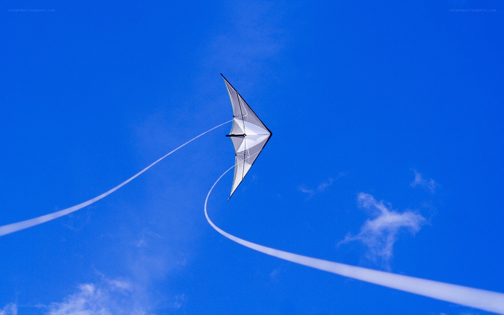 Kite flying in blue sky