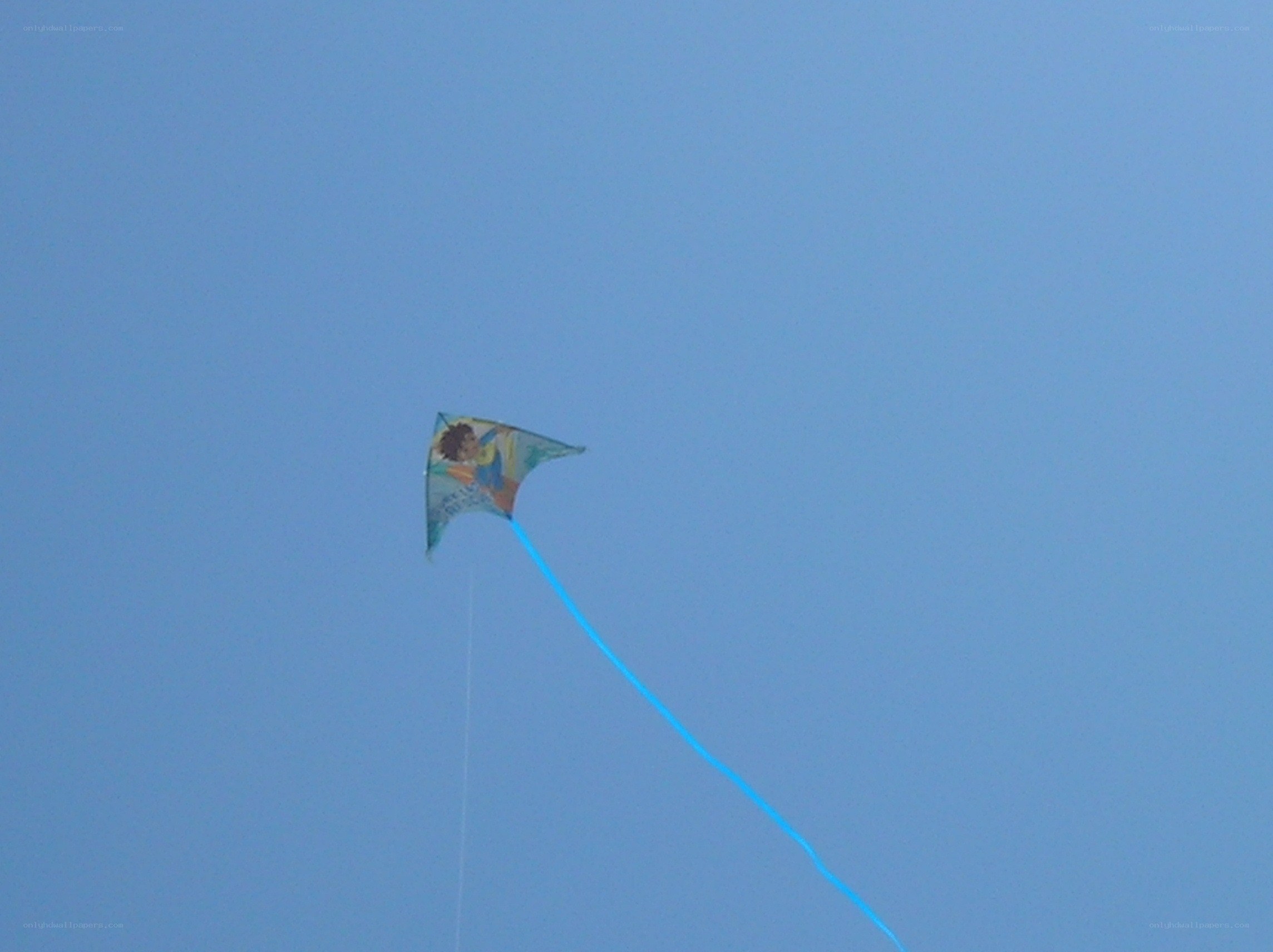 kite flying in blue sky