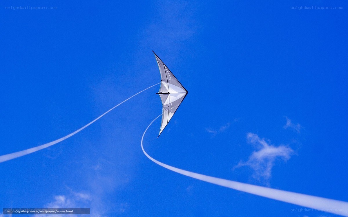 kite flying in blue sky