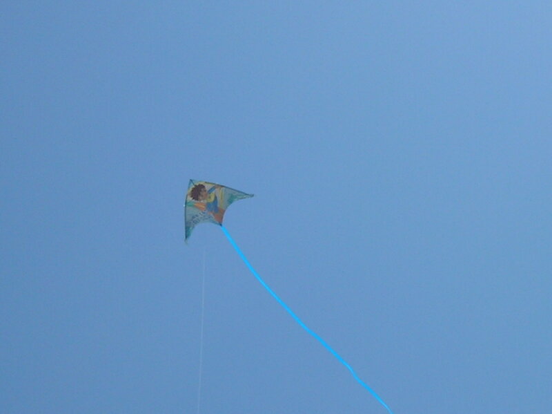 Kite Flying in Sky — Blue, Serene