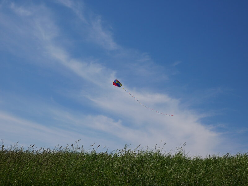 Kite Flying in Sky