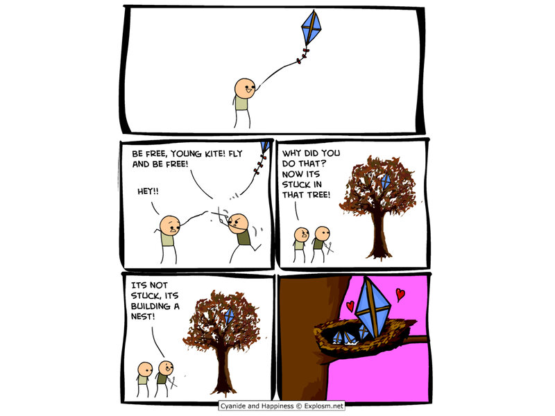 kite in a tree