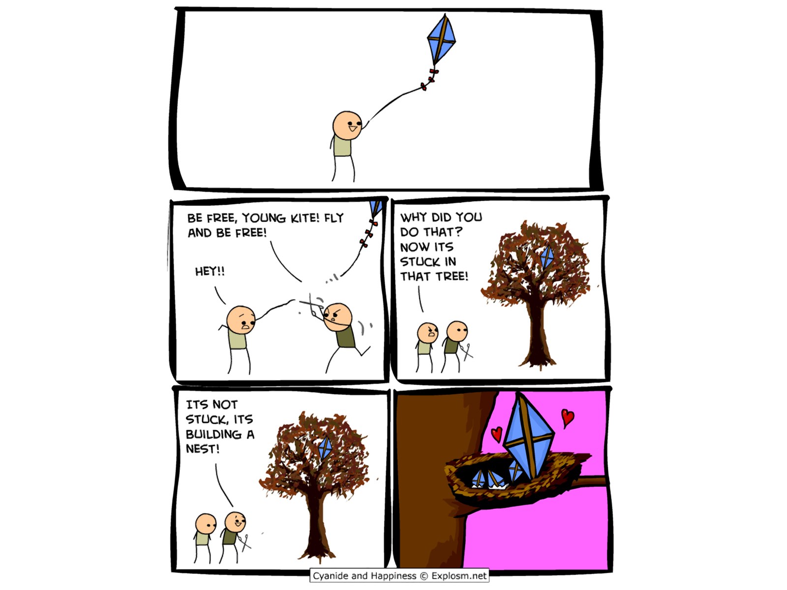kite in a tree