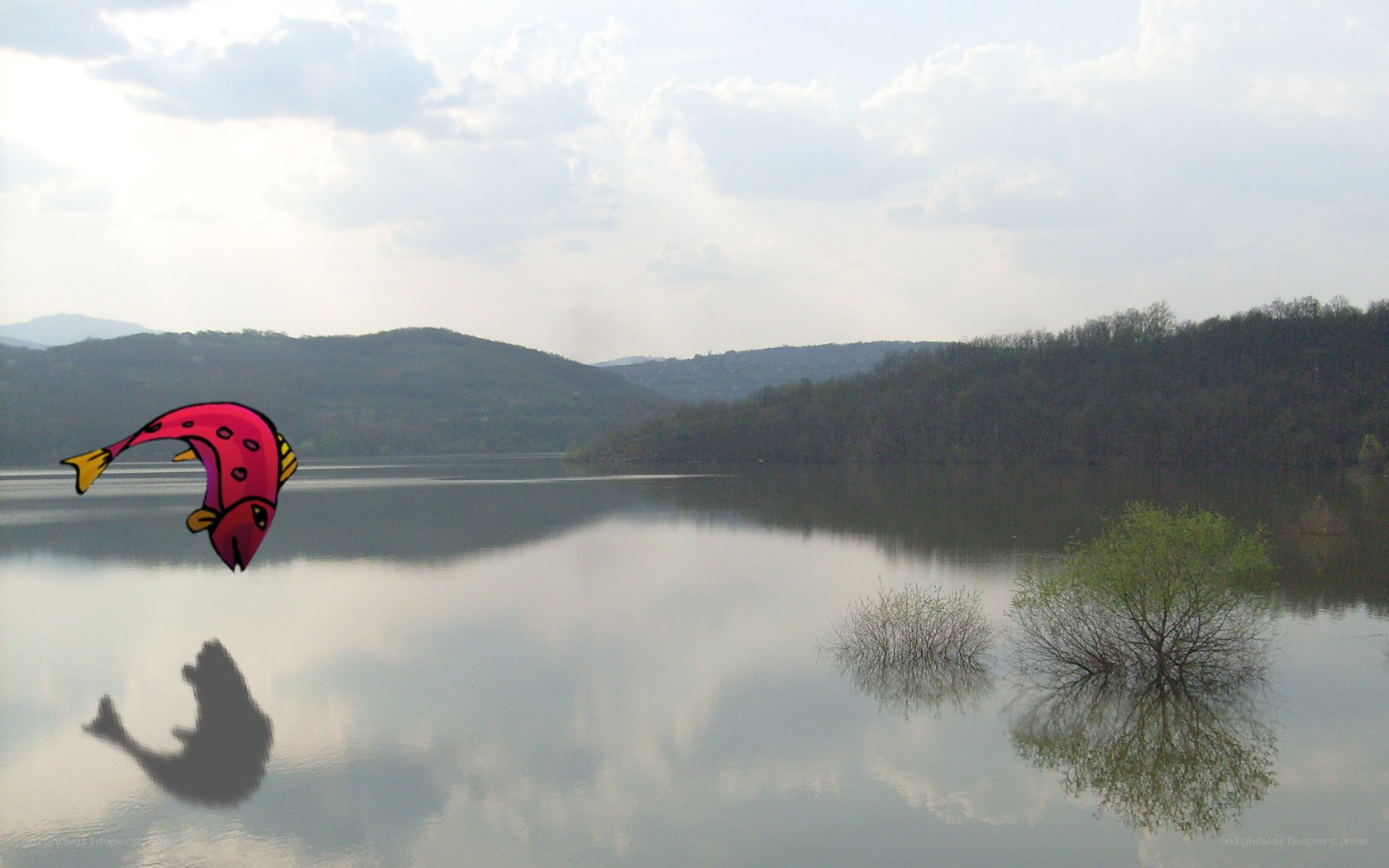 kite over a lake