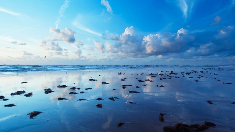 Kite Surfer on Beach — Blue