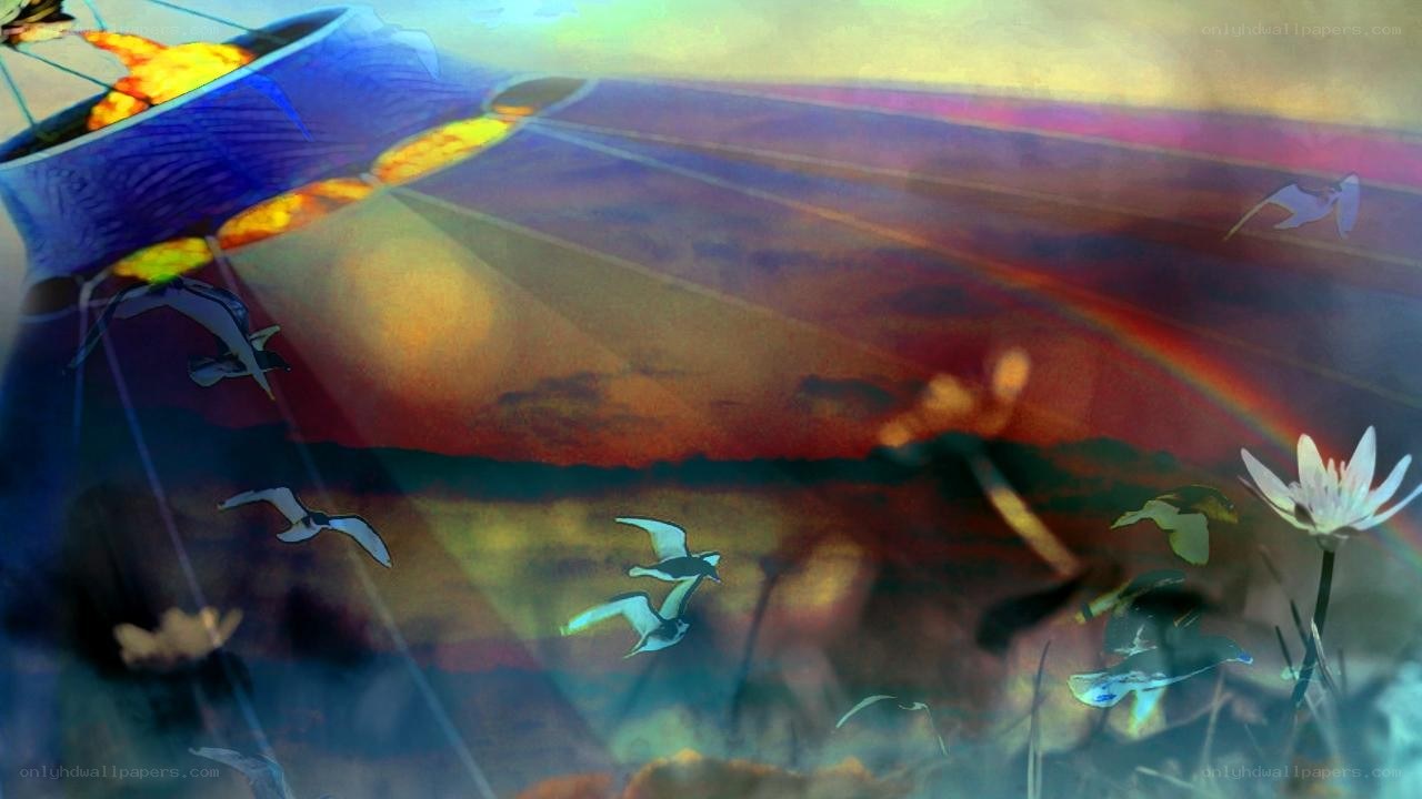 kites flying at sunset