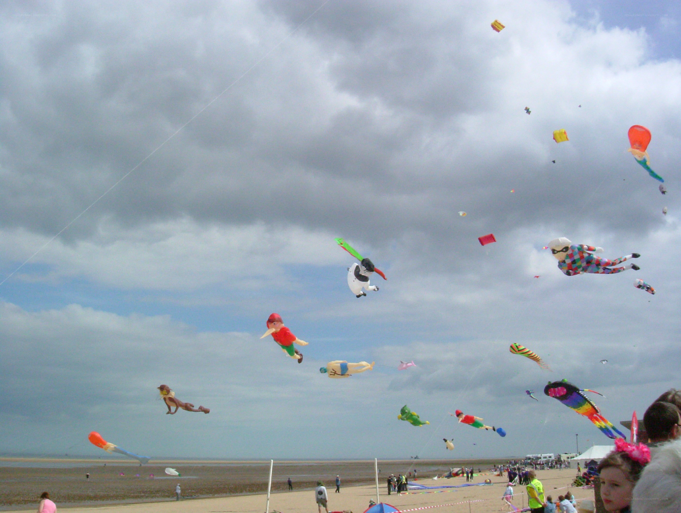 Kites flying at the beach