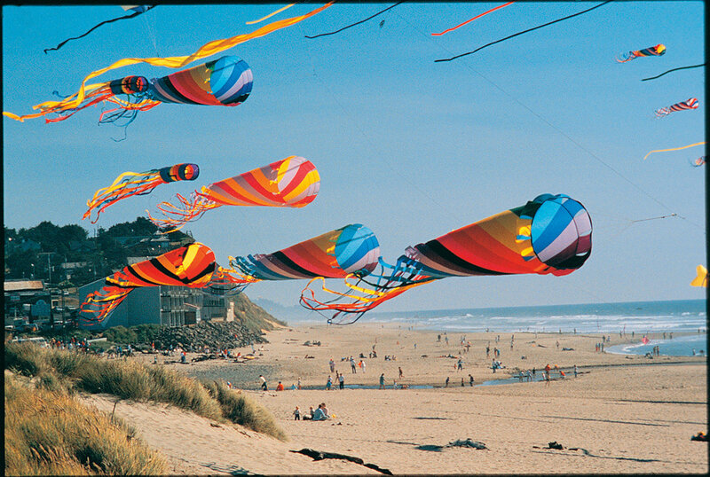 Kites flying over a beach