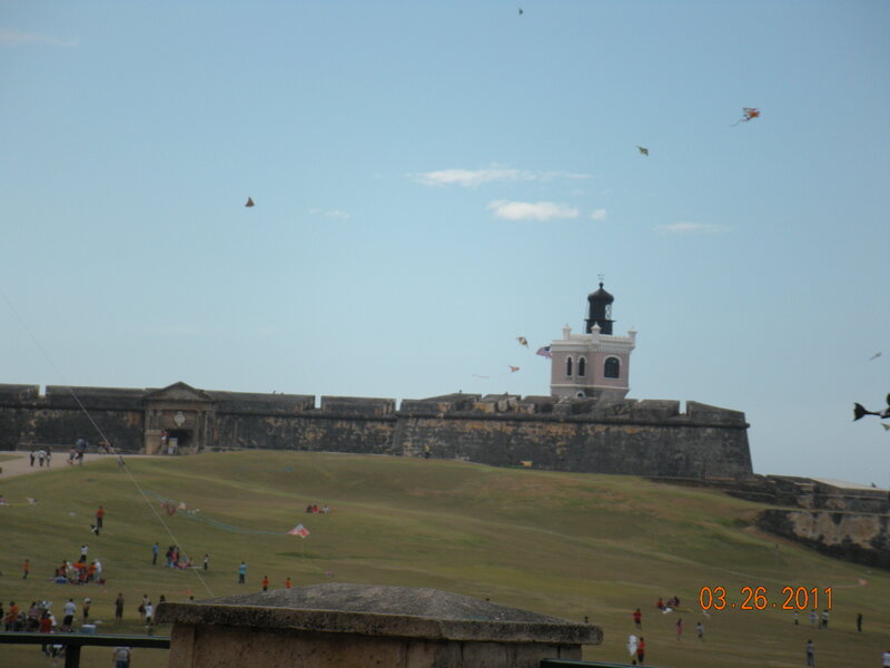 Kites Flying over Fort
