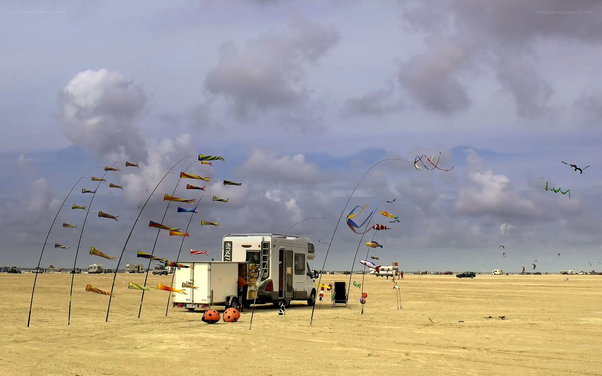 Kites on a sandy field