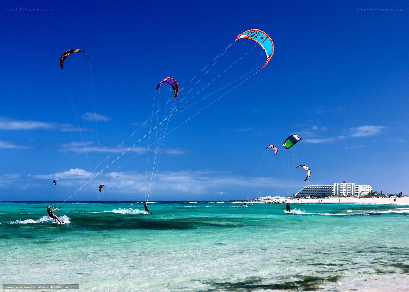 Kitesurfers on a sunny beach