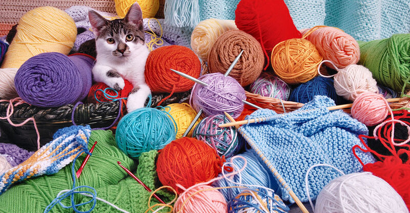 Kitten Among Yarn