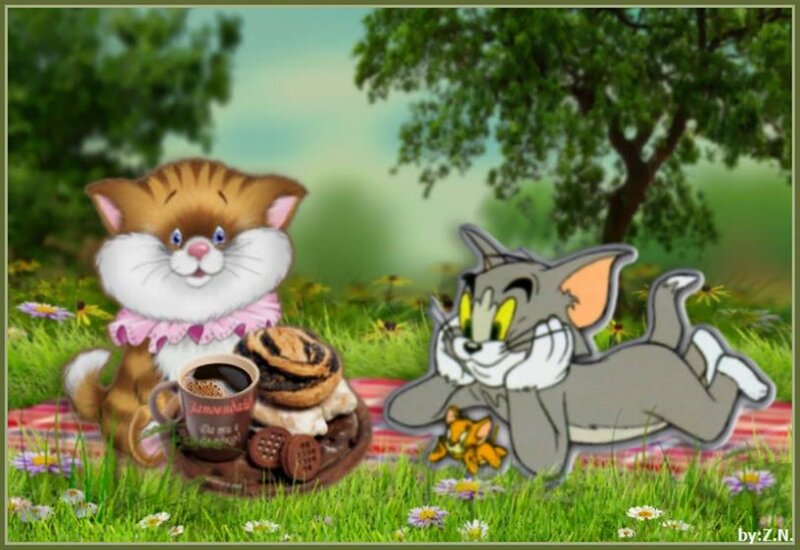 Kitten and Cat in Field