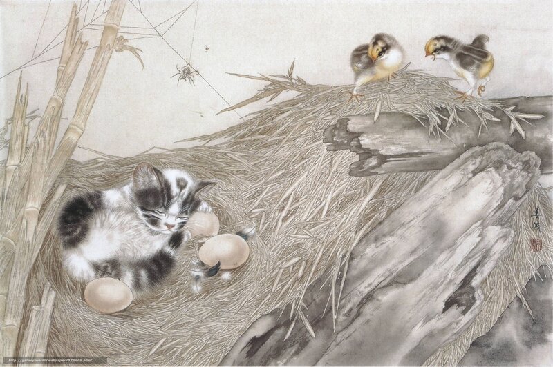 Kitten and chicks in a nest