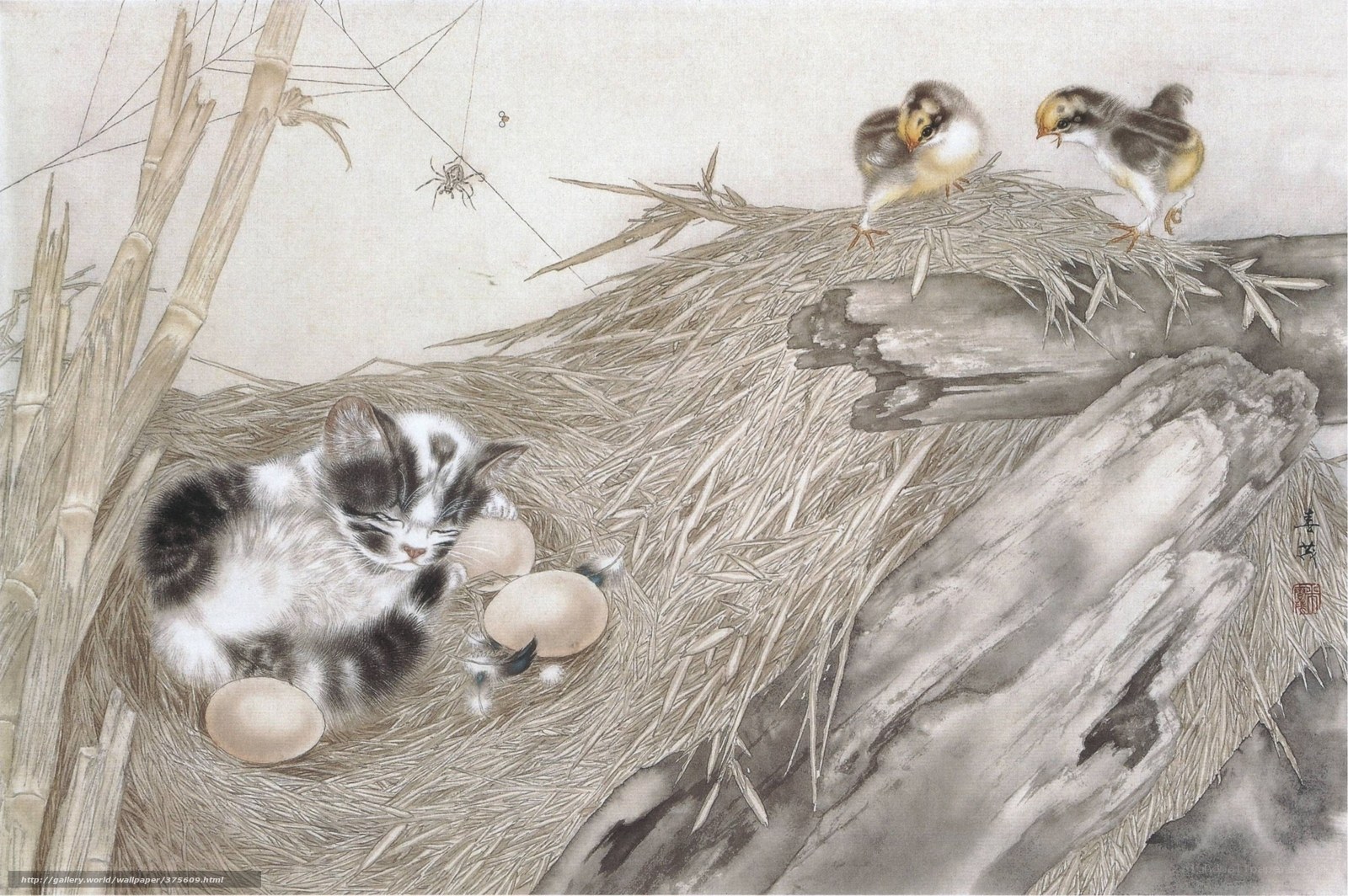Kitten and chicks in a nest
