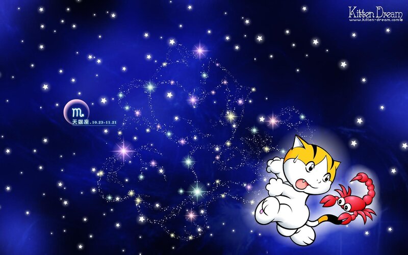 Kitten and crab in starry sky