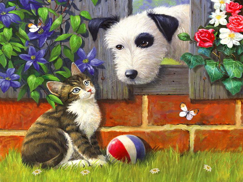 Kitten and Dog in Garden