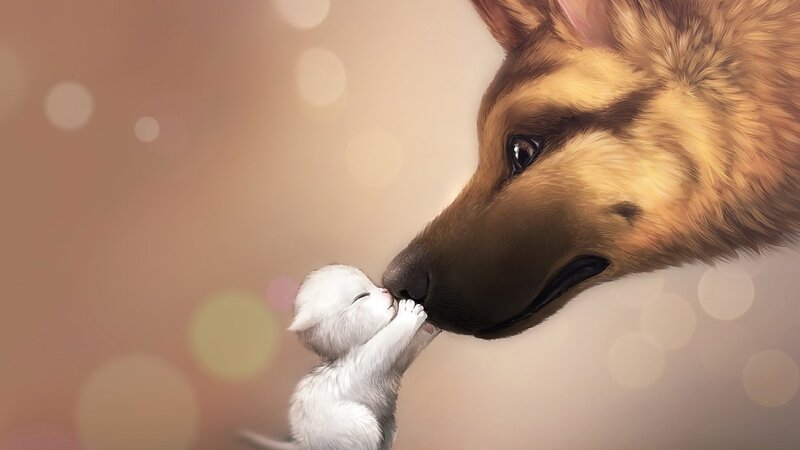 Kitten and Dog Nose-to-nose — Brown, Tender, Digital Art