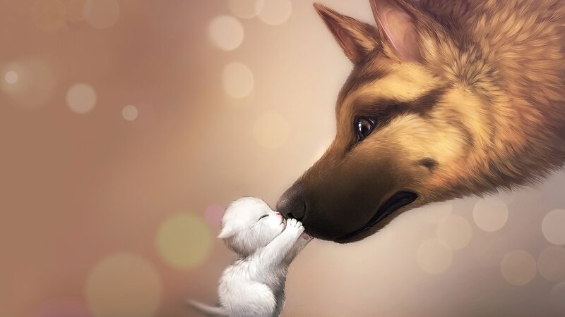 Kitten and Dog Nose-to-nose — Brown, Tender