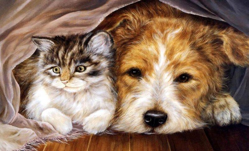 Kitten and Dog under Blanket — Brown, Calm, Painting
