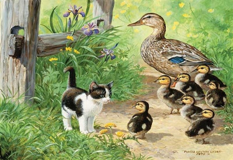 Kitten and Ducklings — Green