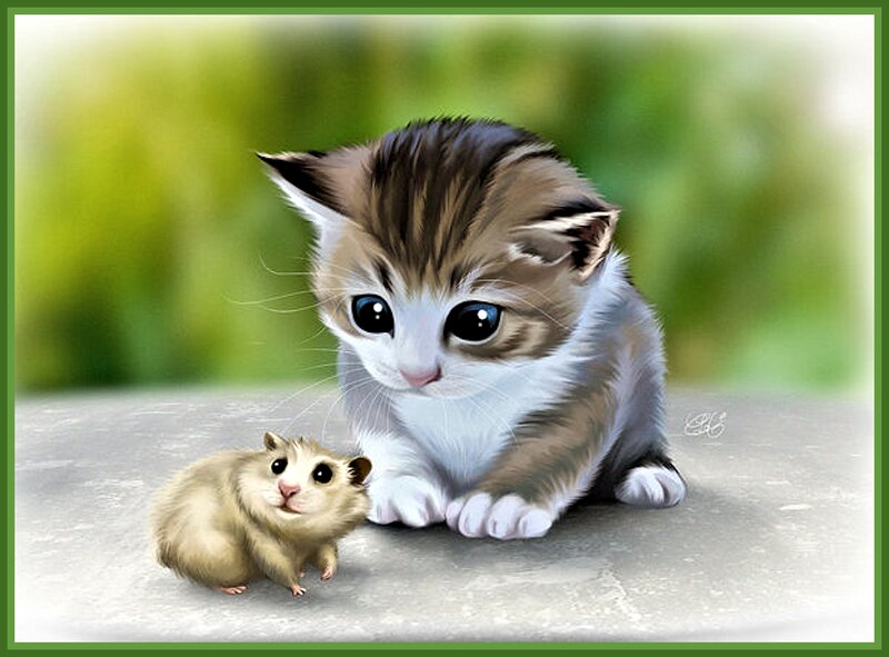 Kitten and Hamster
