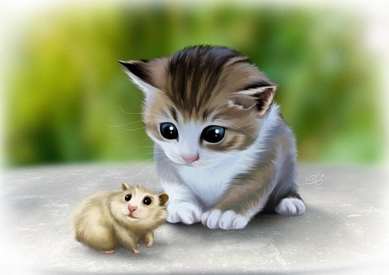Kitten and Hamster — White