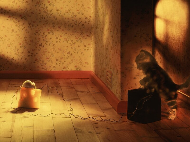 kitten and mouse in a room