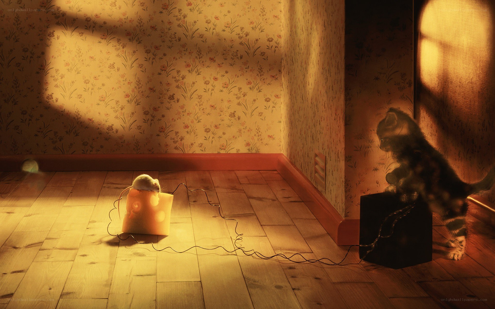 kitten and mouse in a room