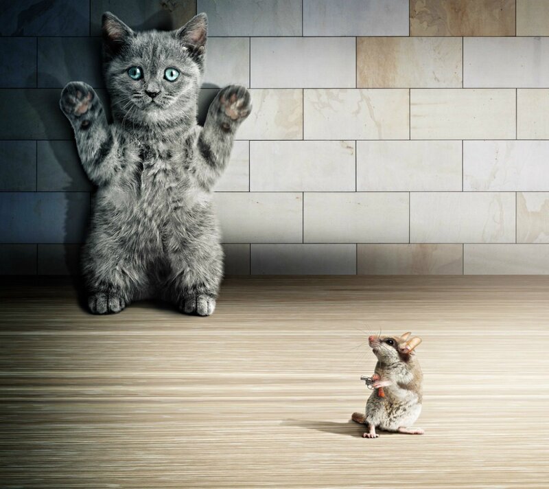 Kitten and Mouse