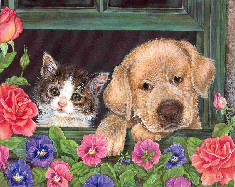 Kitten and Puppy at Window
