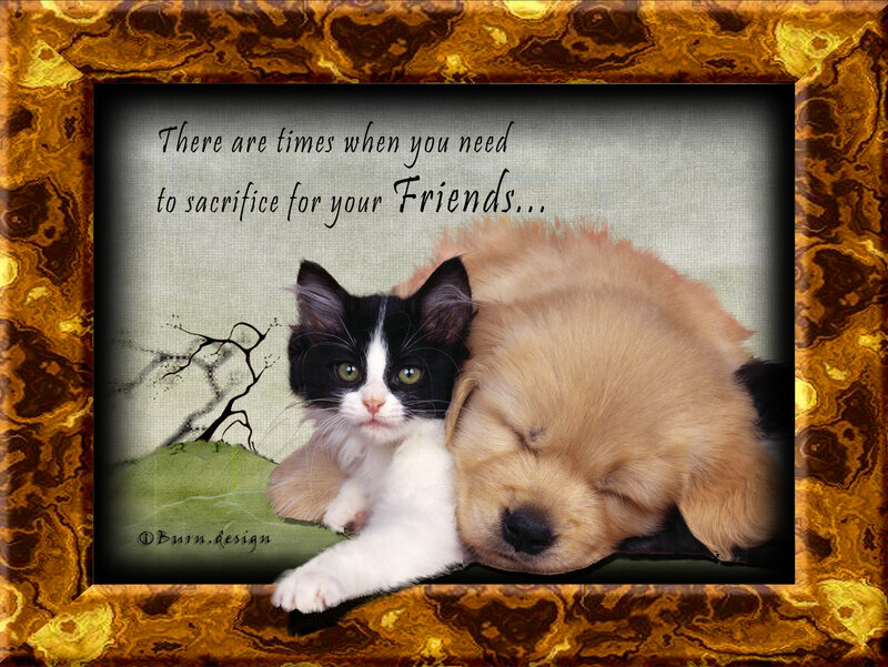 Kitten and Puppy — Brown