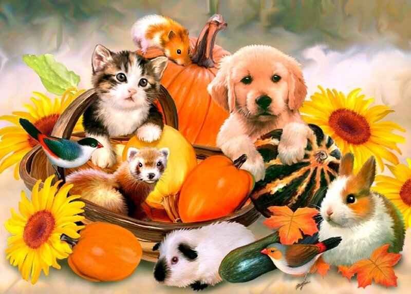 Kitten and Puppy in Basket — Orange