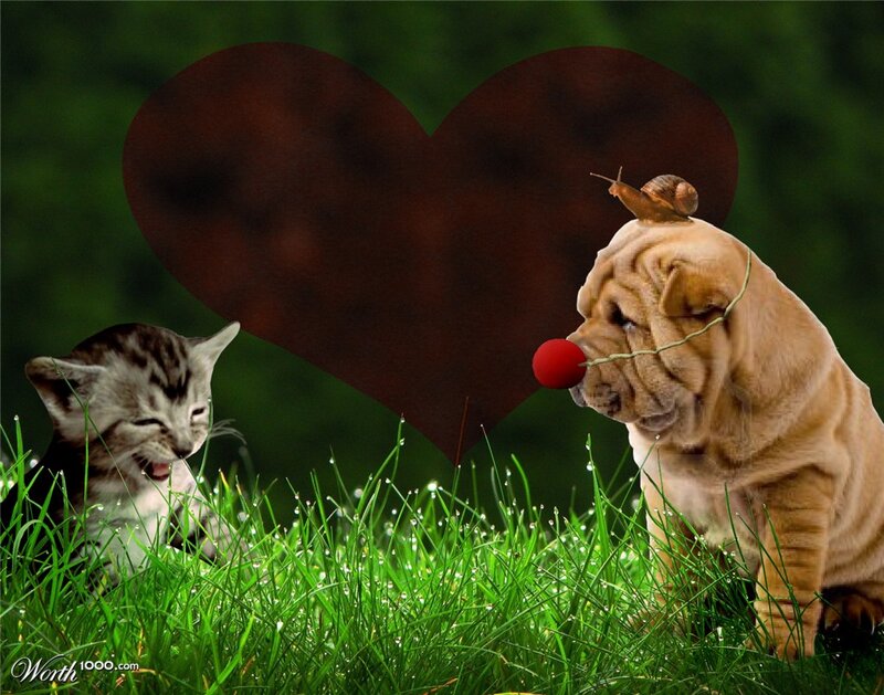 Kitten and Puppy in Grass